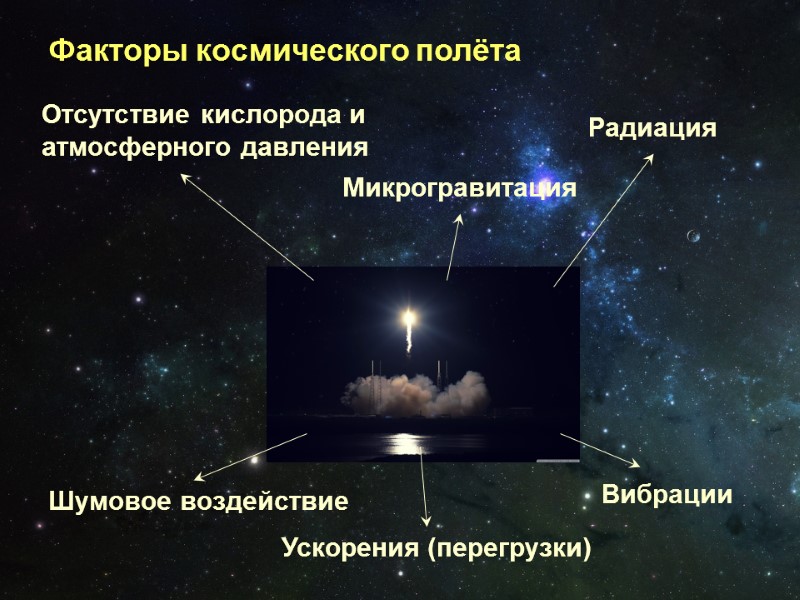 Факторы космического полёта Шумовое воздействие Ускорения (перегрузки) Вибрации Отсутствие кислорода и  атмосферного давления